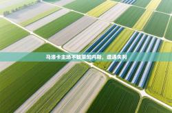 马洛卡主场不敌莱加内斯，遭遇失利