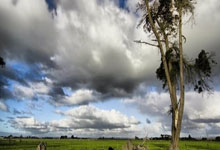 利物浦门将出色表现，多次救险力保球队胜利