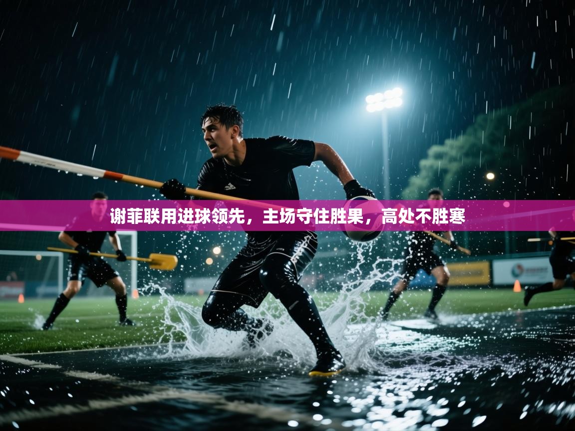 谢菲联用进球领先，主场守住胜果，高处不胜寒  第2张