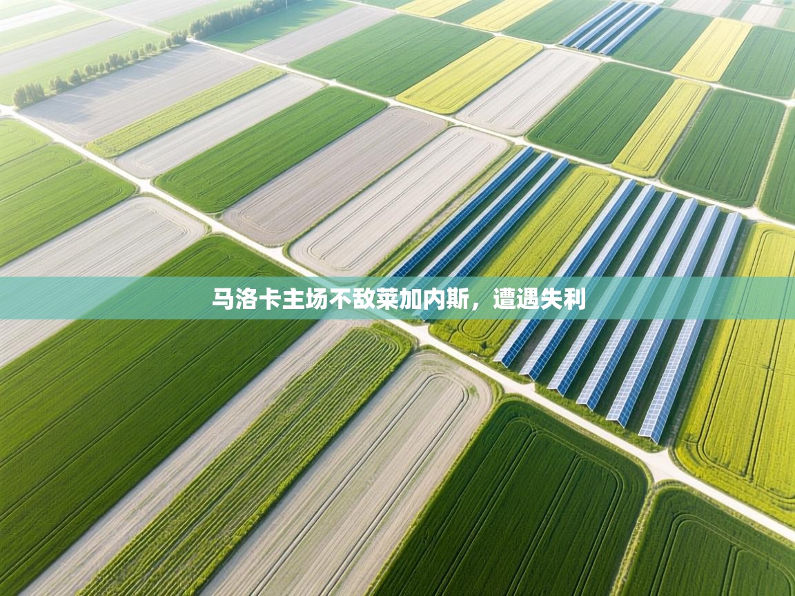 马洛卡主场不敌莱加内斯，遭遇失利  第1张