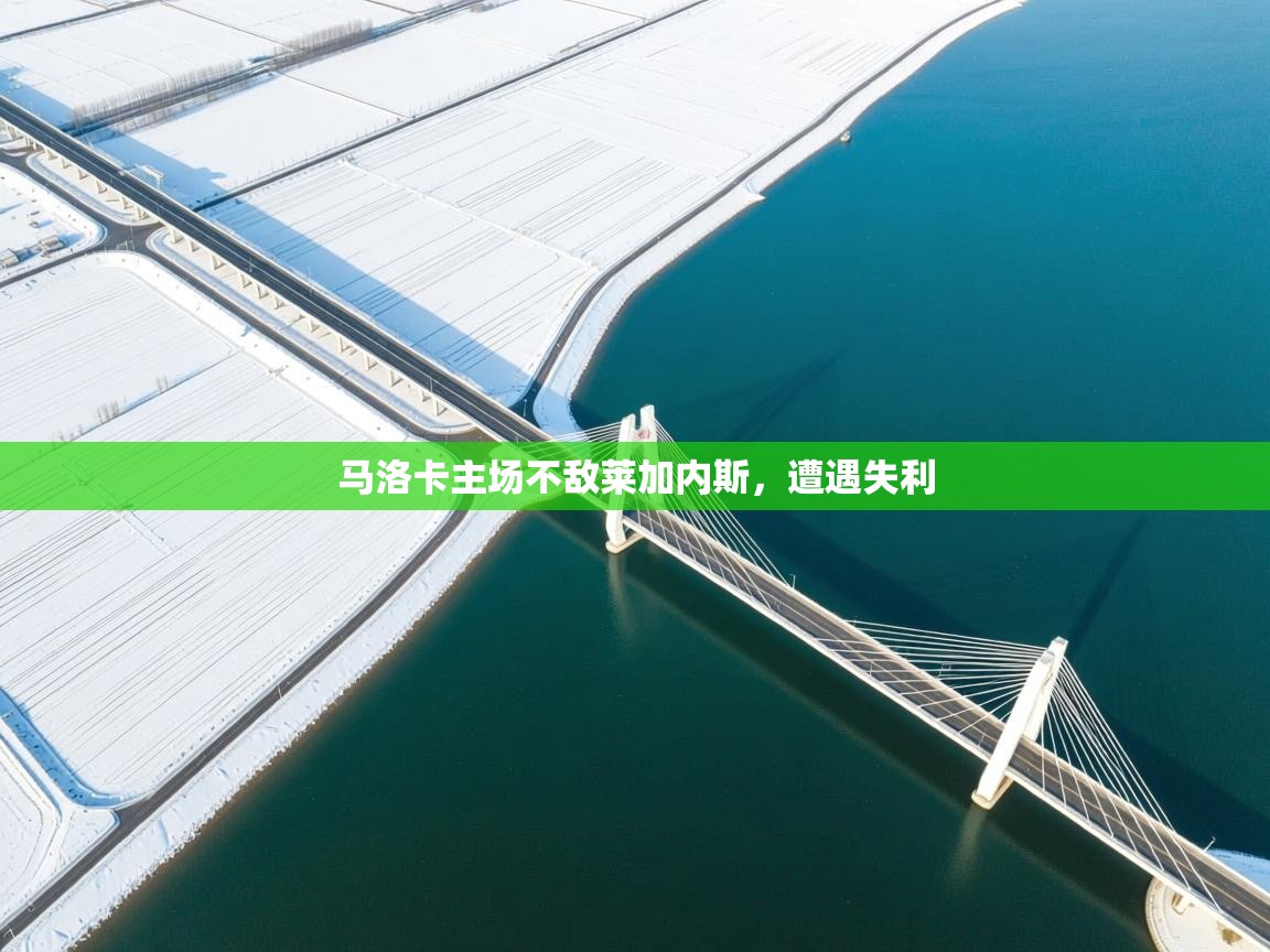 马洛卡主场不敌莱加内斯，遭遇失利  第2张