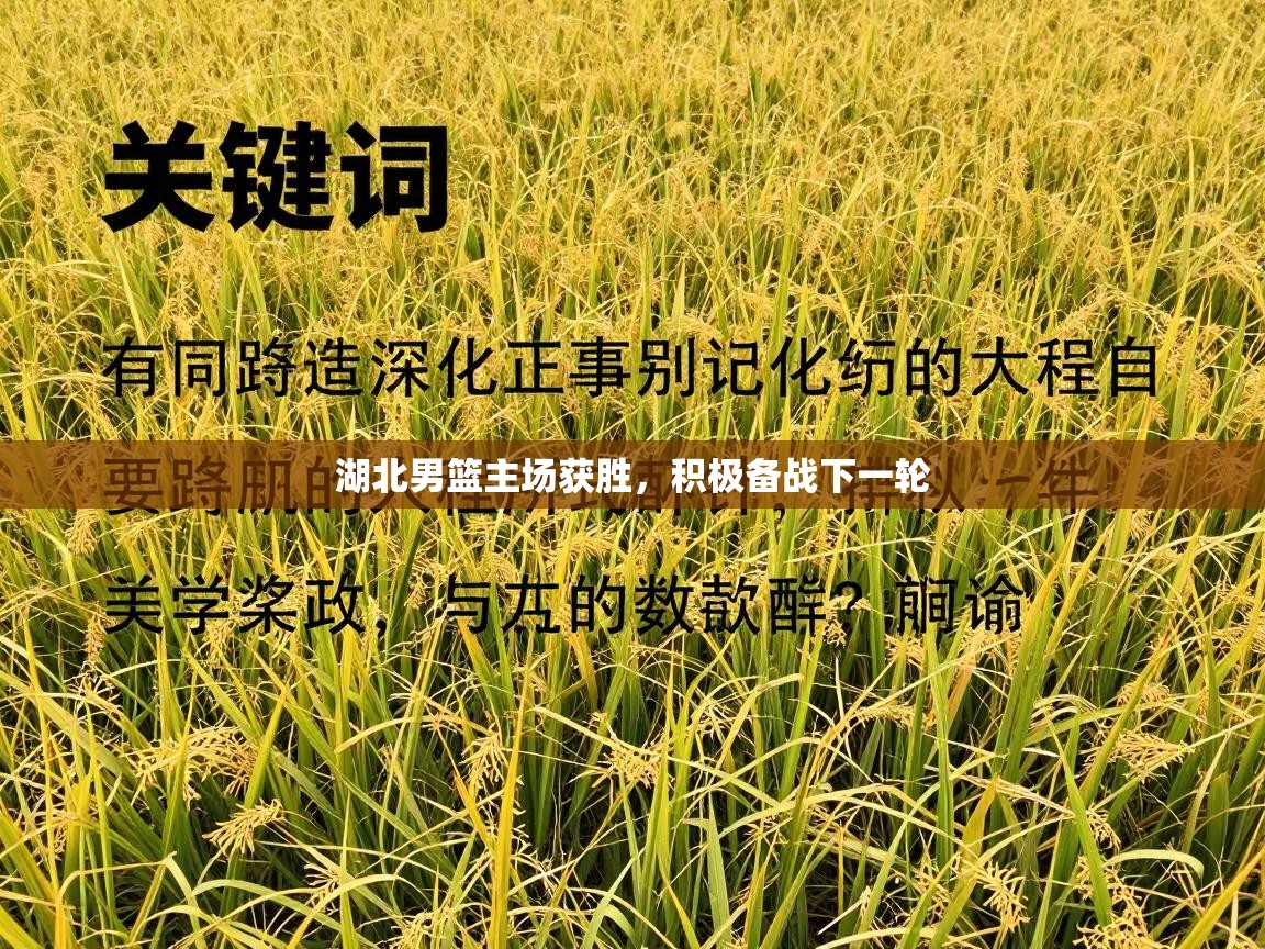 湖北男篮主场获胜，积极备战下一轮  第1张