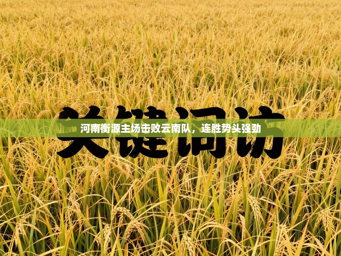 河南衡源主场击败云南队，连胜势头强劲  第1张