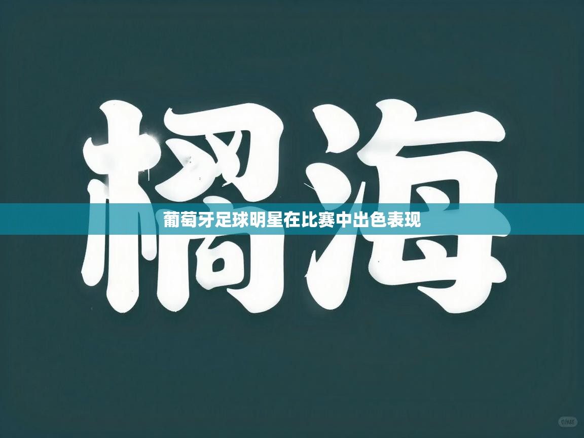 葡萄牙足球明星在比赛中出色表现  第1张